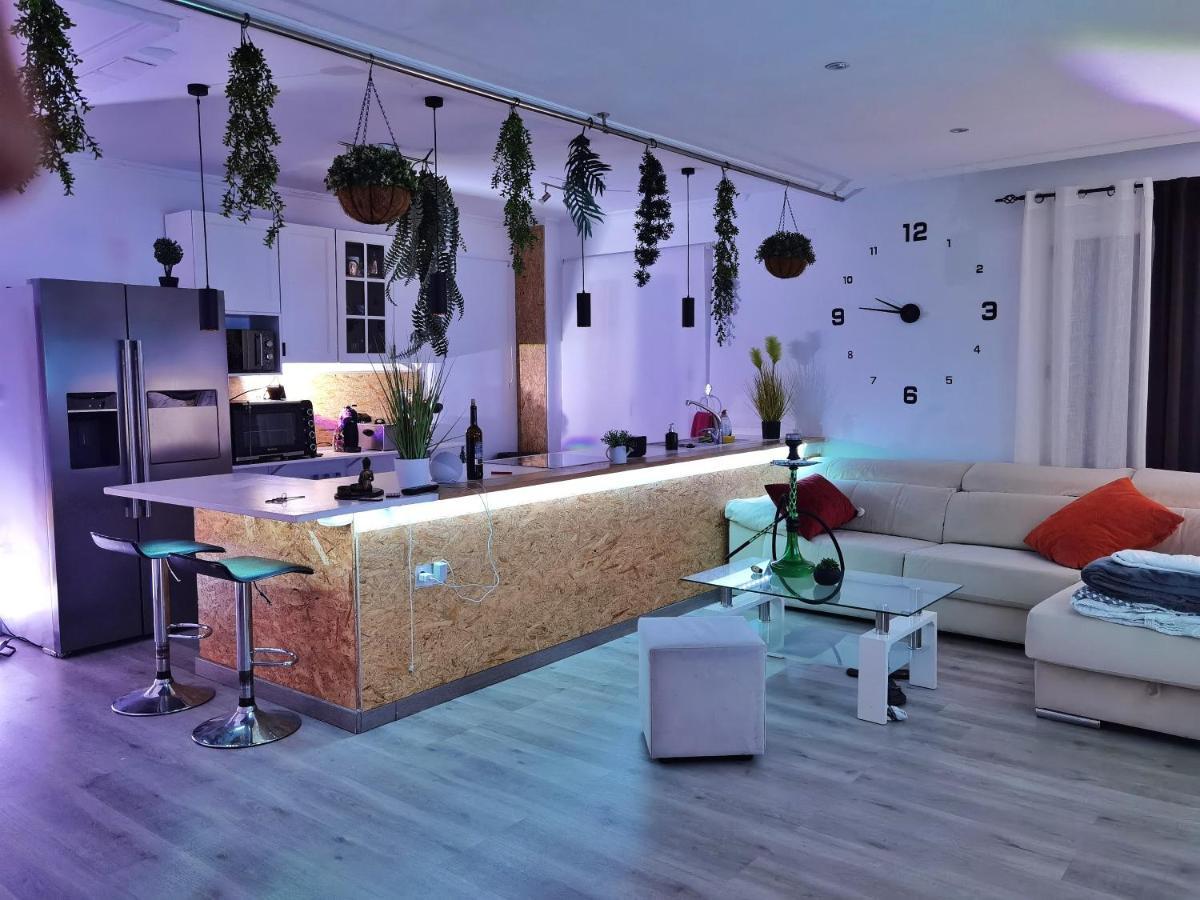 Stag Hendo25Pax Only 10Min To The Party Area Despedidas 25Pax 10 Min De La Zona De Fiesta Consultar Precio Benidorm Exterior photo